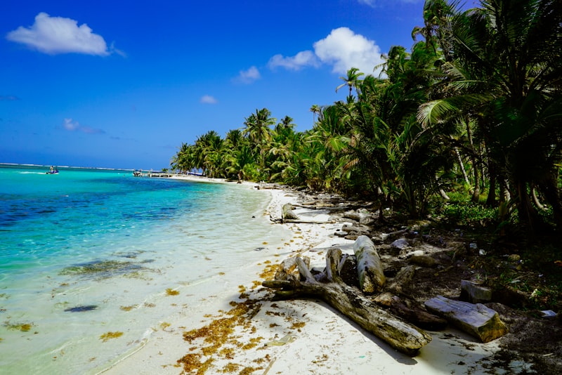A turquoise shoreline fringed with palms on an island in Panama