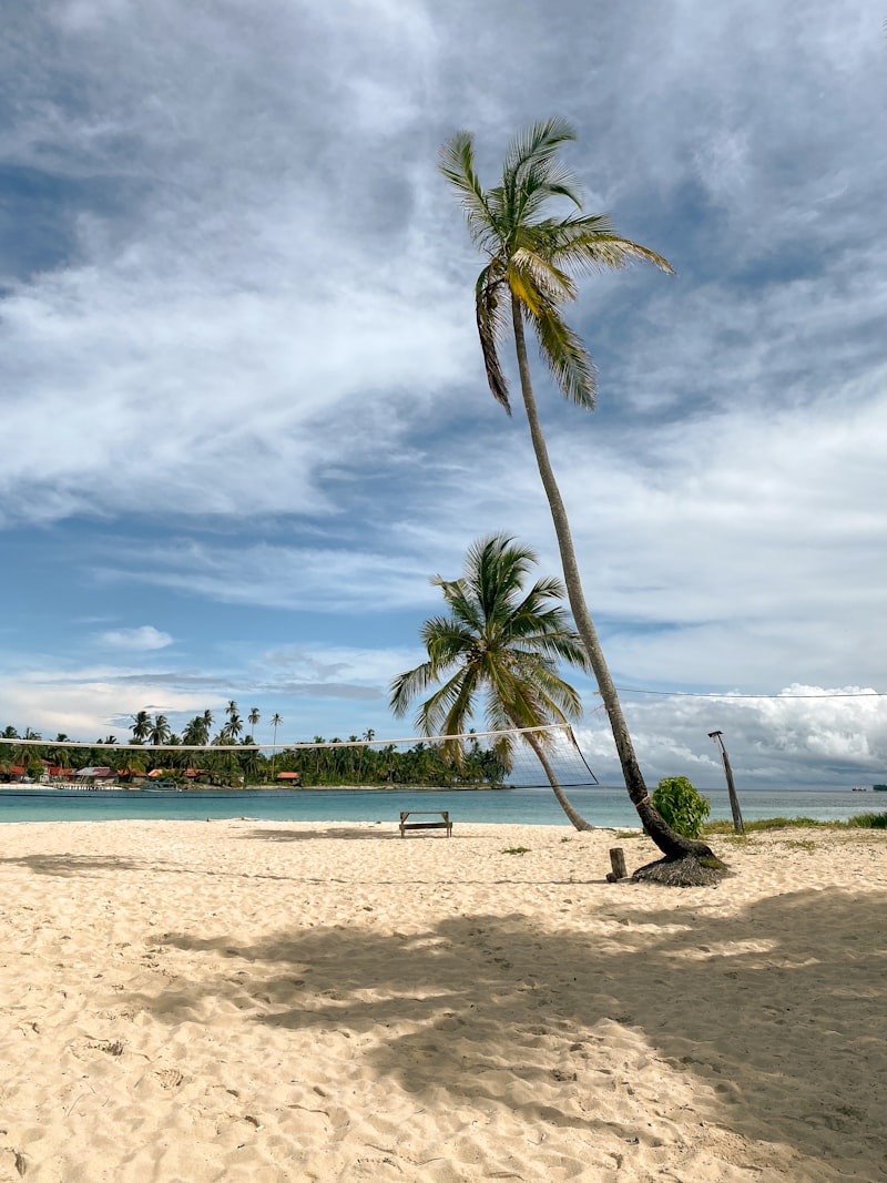 A single palm tree on a small beach in the San Blas Islands, Panama