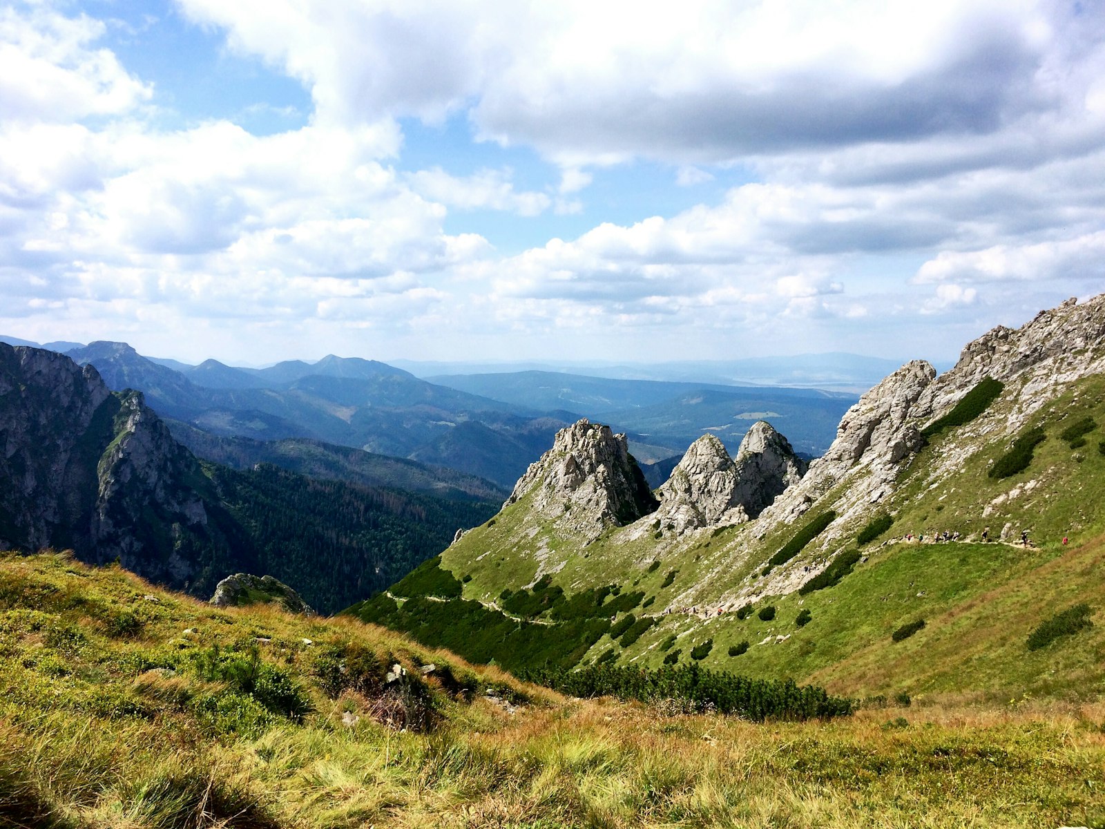 Rocky Tatra mountain peaks above green slopes near Zakopane