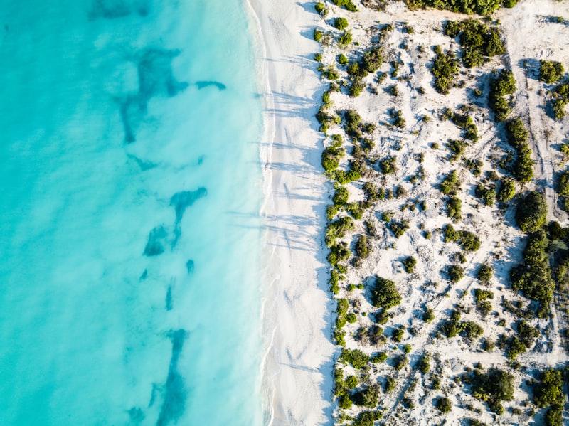 A shoreline in the Turks and Caicos Islands photographed from the air