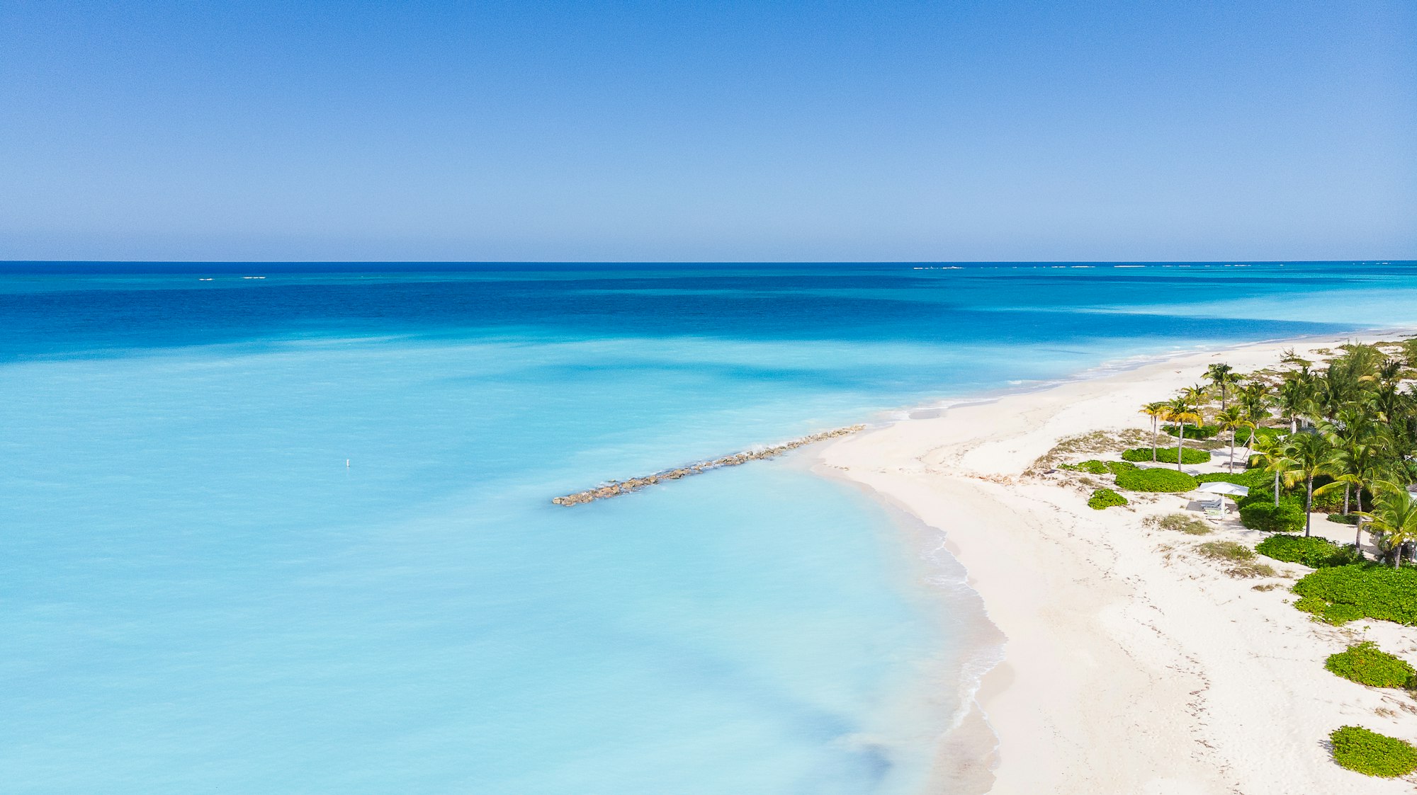 An aerial view of a beach lined with palms in the Turks and Caicos Islands
