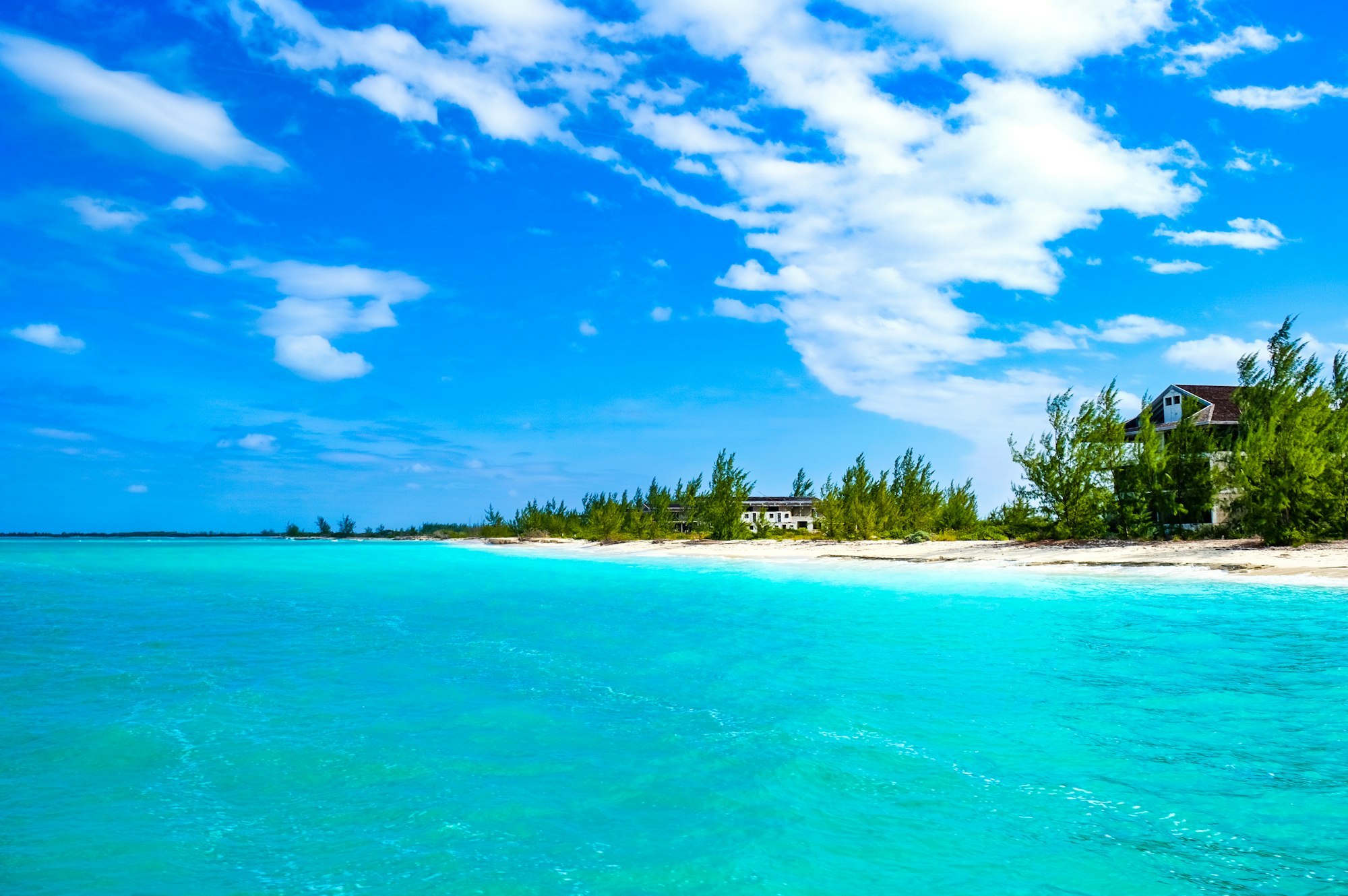 Turquoise shallows along a low green shoreline in the Turks and Caicos Islands