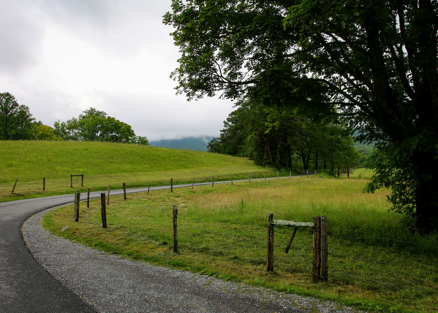 A narrow road winding through a green meadow with a split rail fence in the Smoky Mountains
