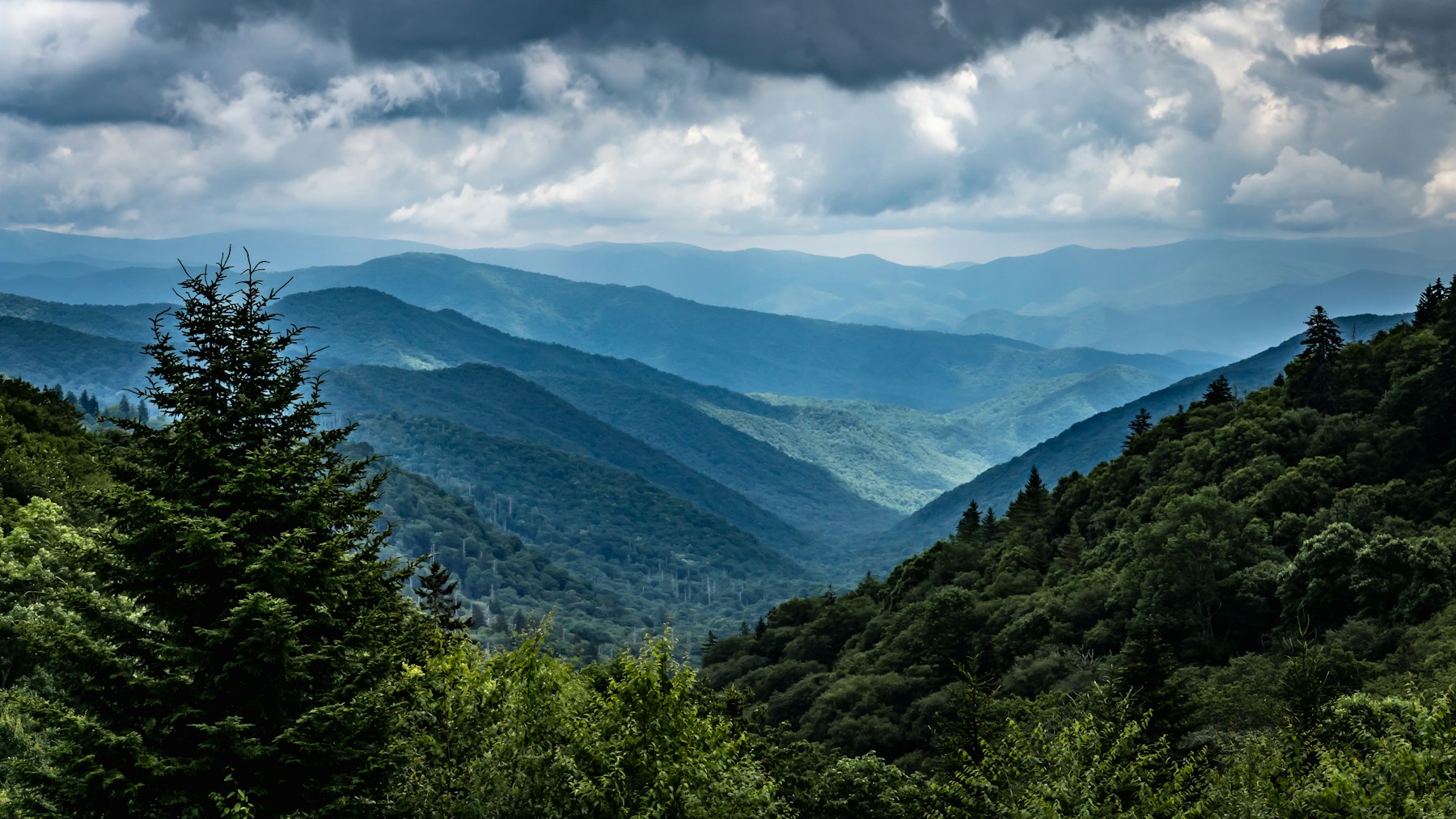 Forested ridges of Great Smoky Mountains National Park under low cloud