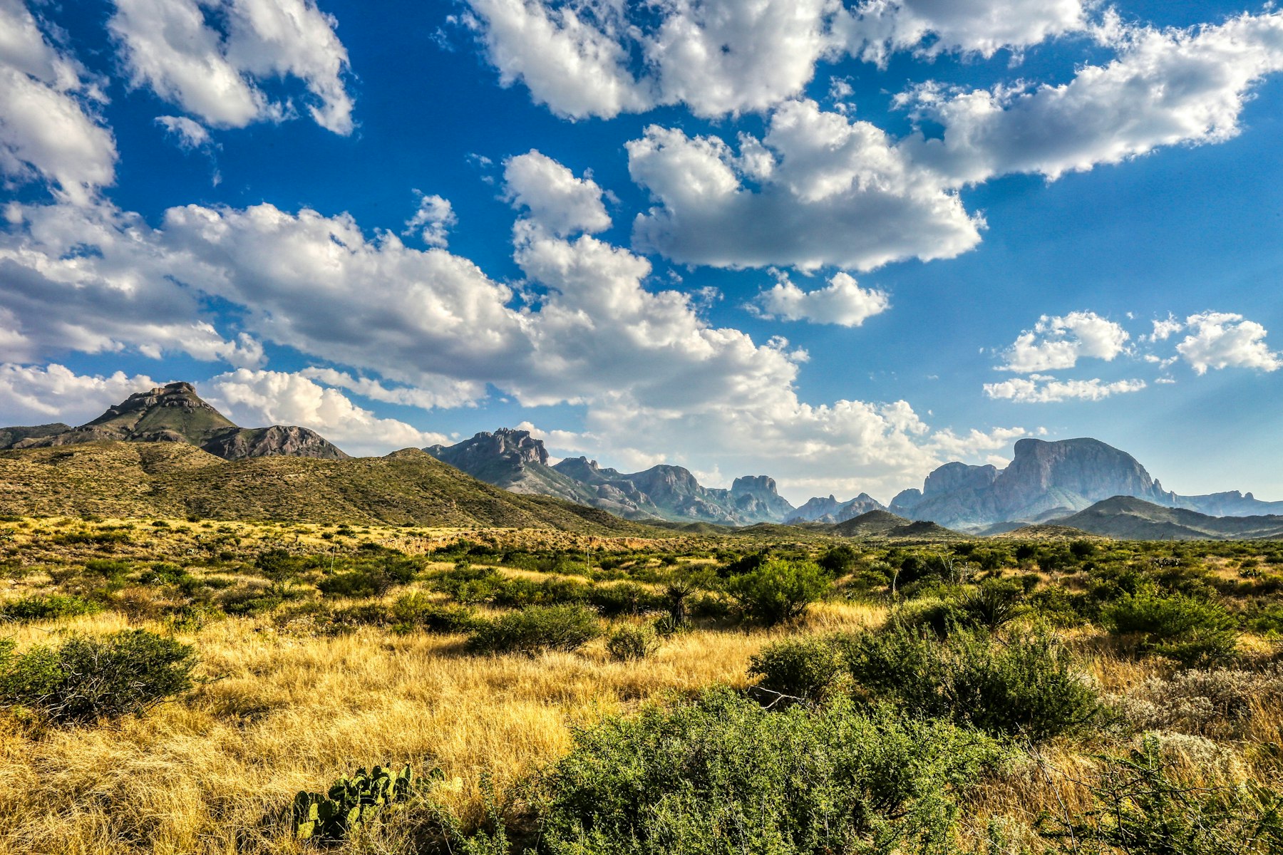 The Chisos Mountains under towering white clouds across the Big Bend desert