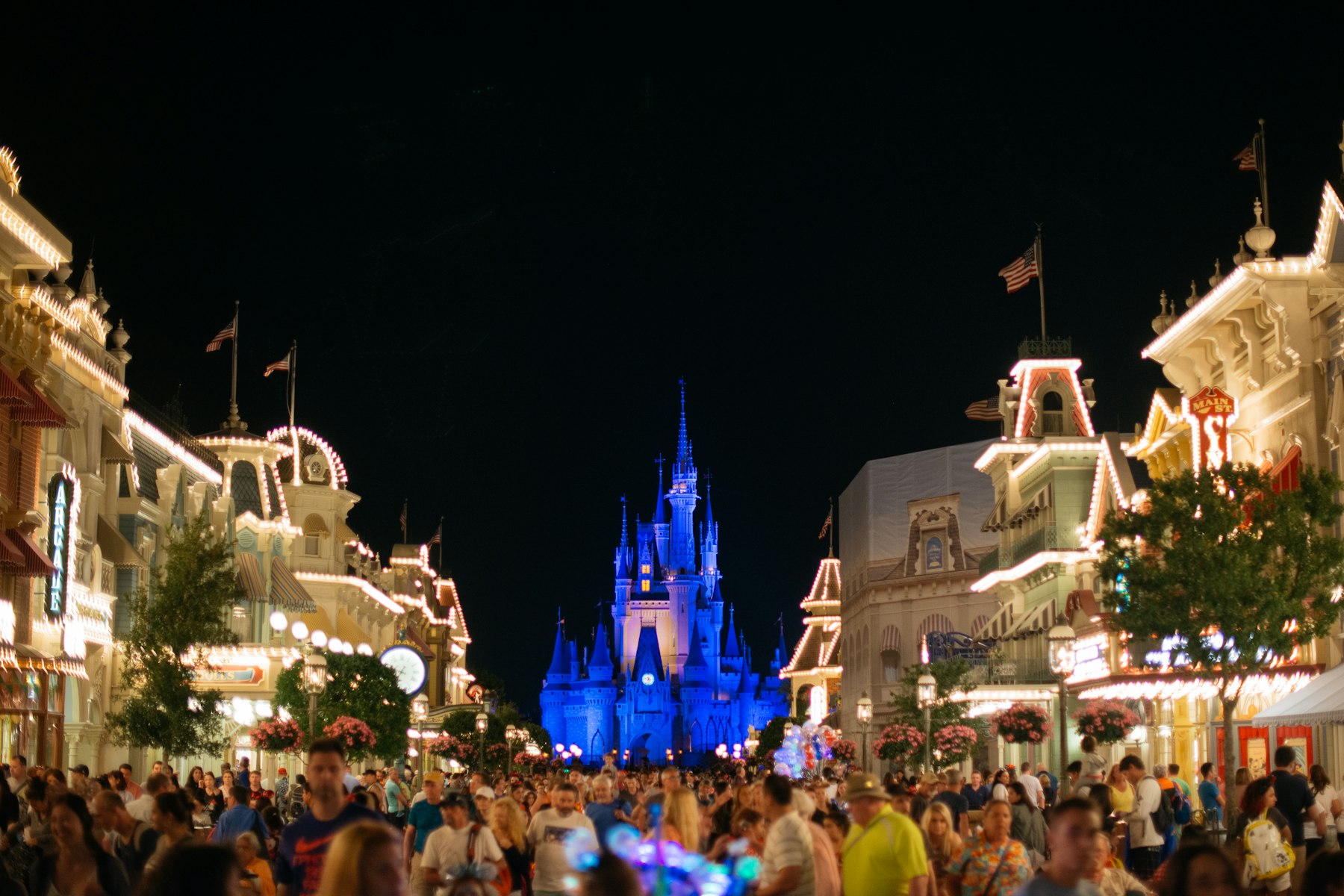 People standing in front of the Disney castle at Walt Disney World in Orlando at night