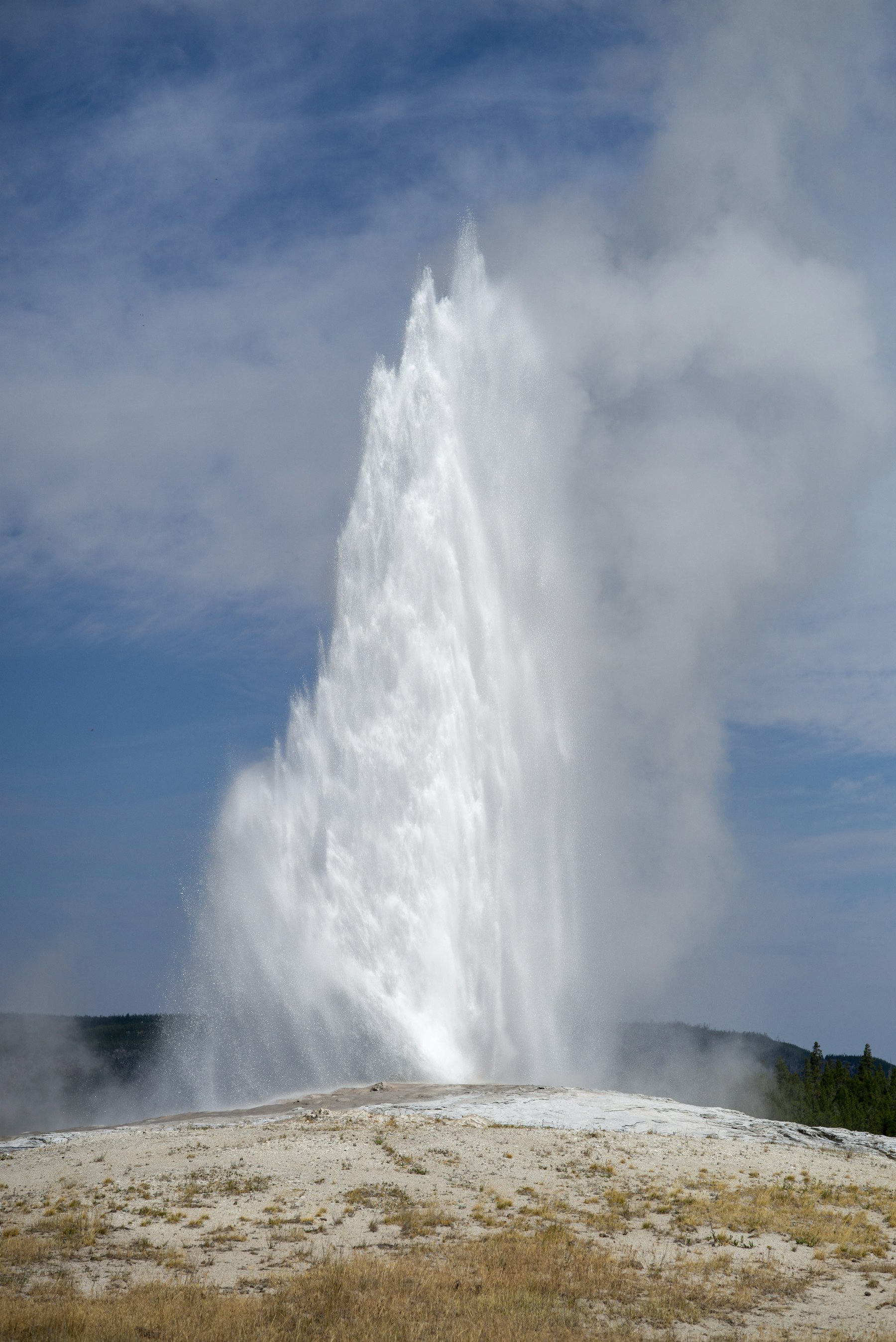 A Yellowstone geyser erupting in a tall white column against a blue sky