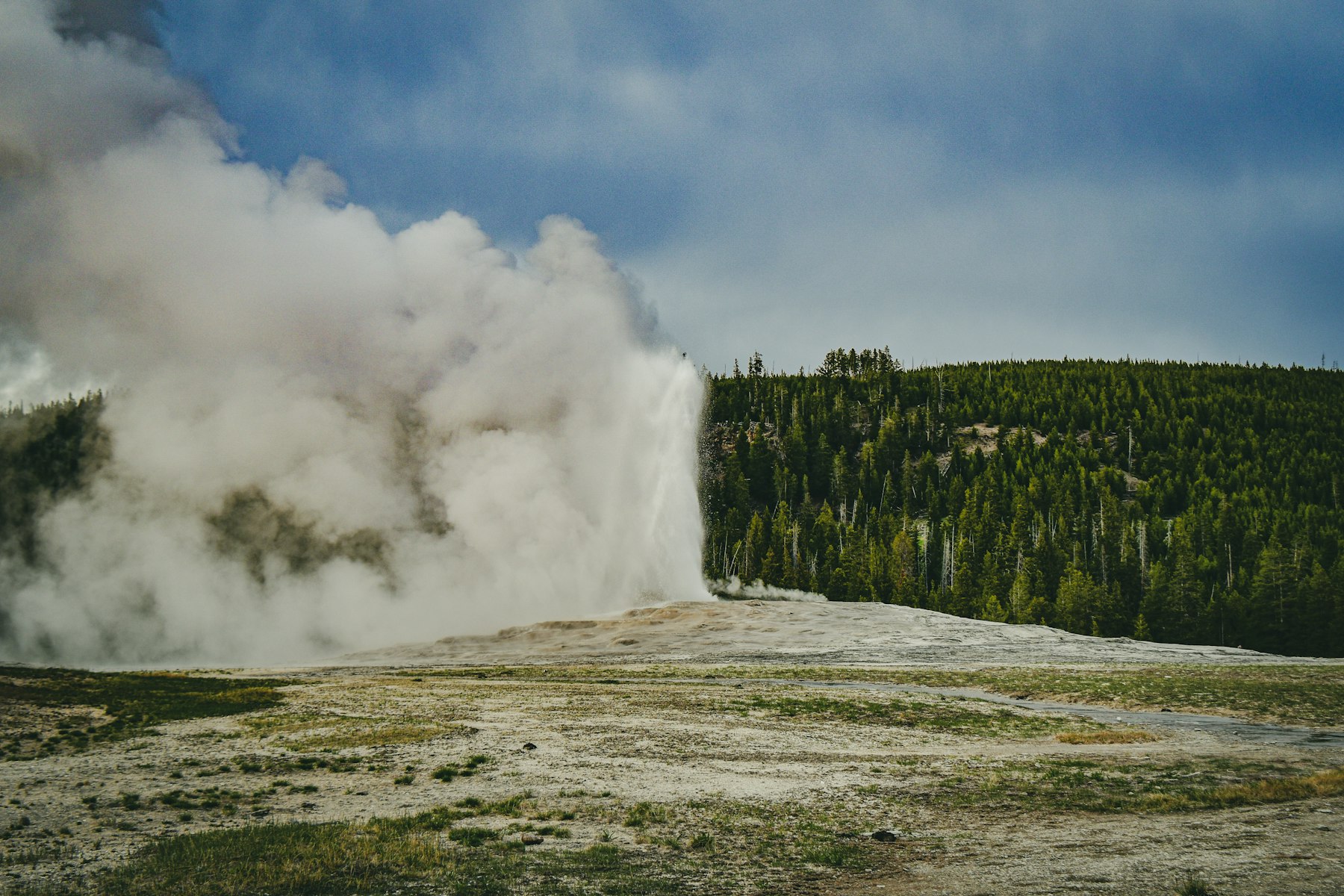 Old Faithful geyser erupting with steam drifting across the basin