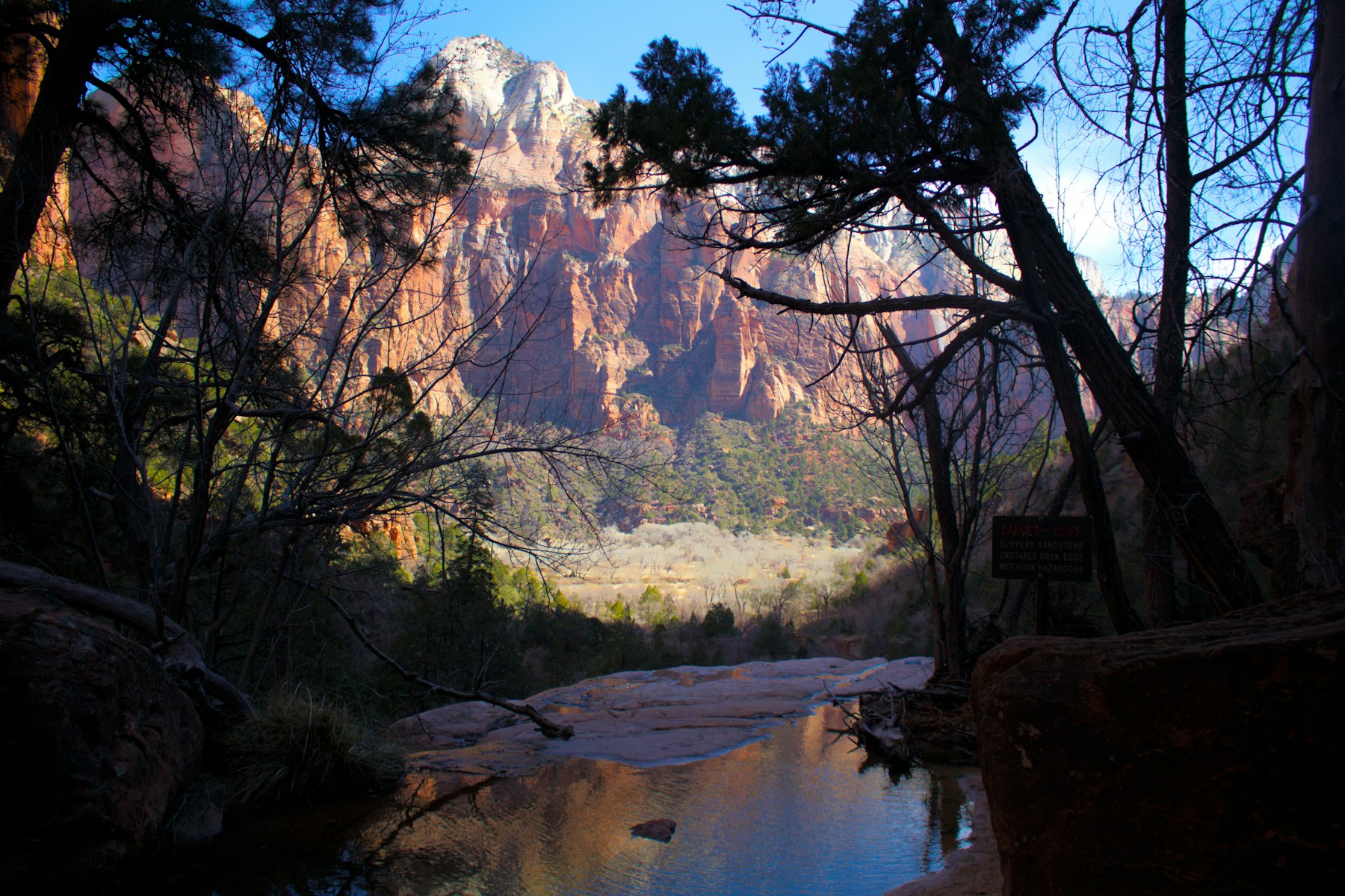 The Watchman peak reflected in the Virgin River at dusk framed by bare cottonwood branches