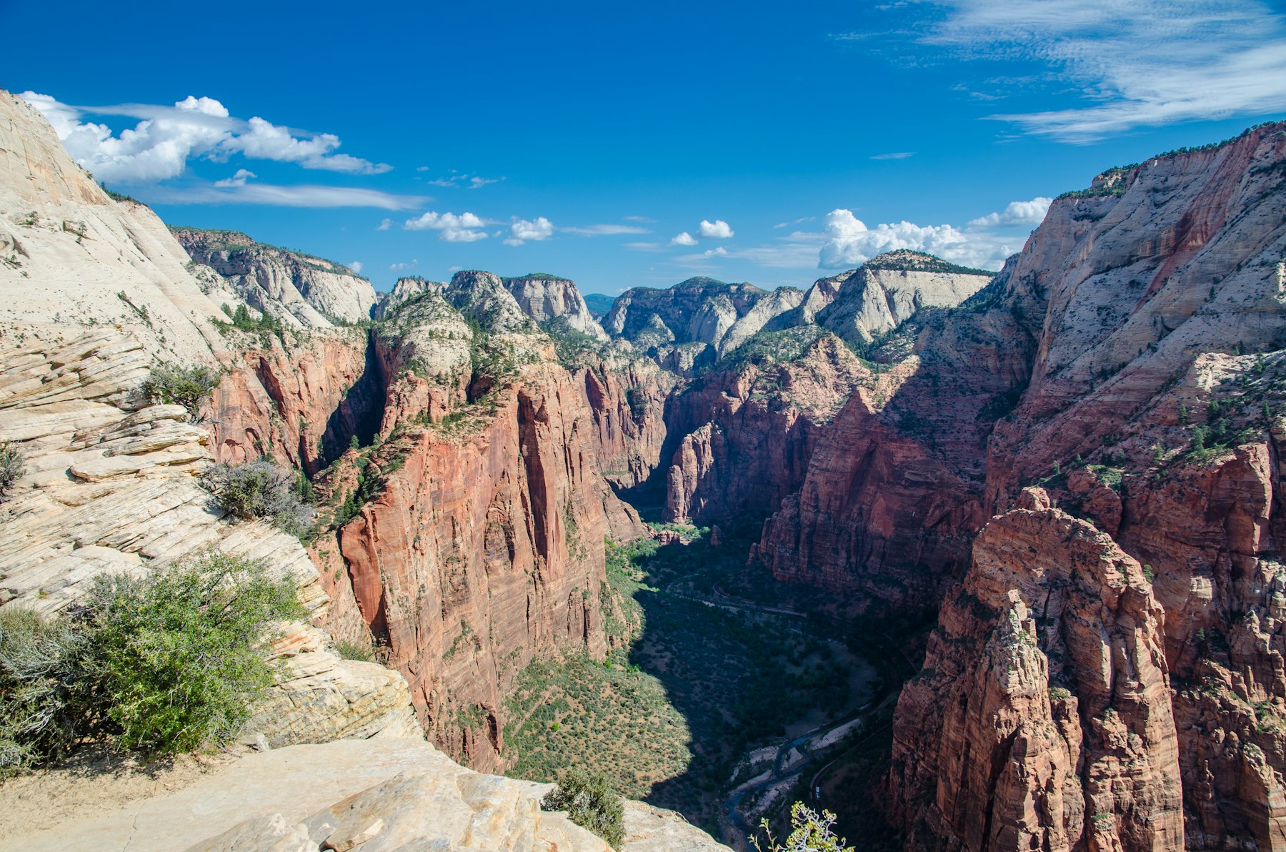 The narrow rock spine of Angels Landing seen from above with Zion Canyon below