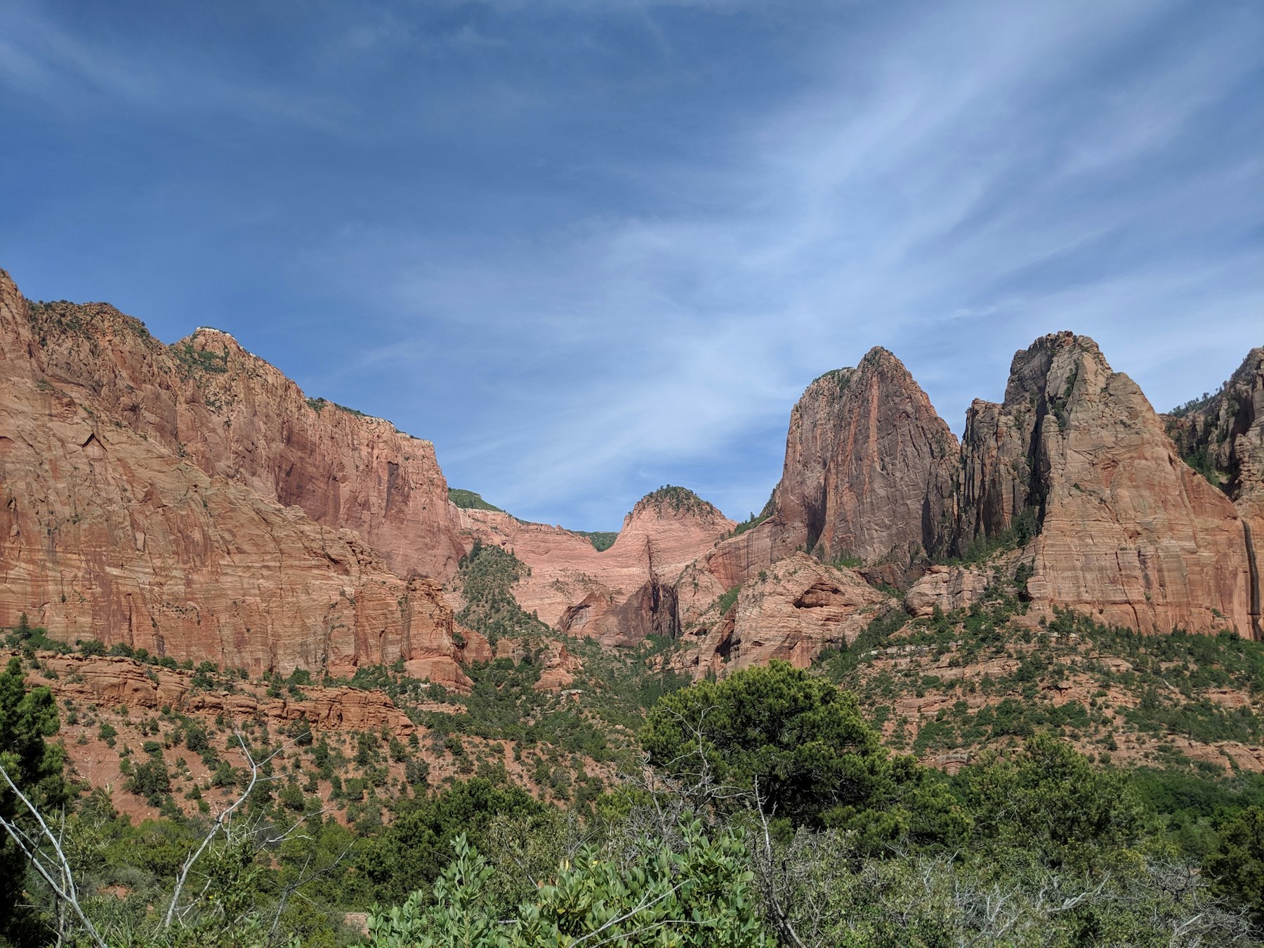 The red rock finger canyons of Kolob Canyons above green pinyon and juniper