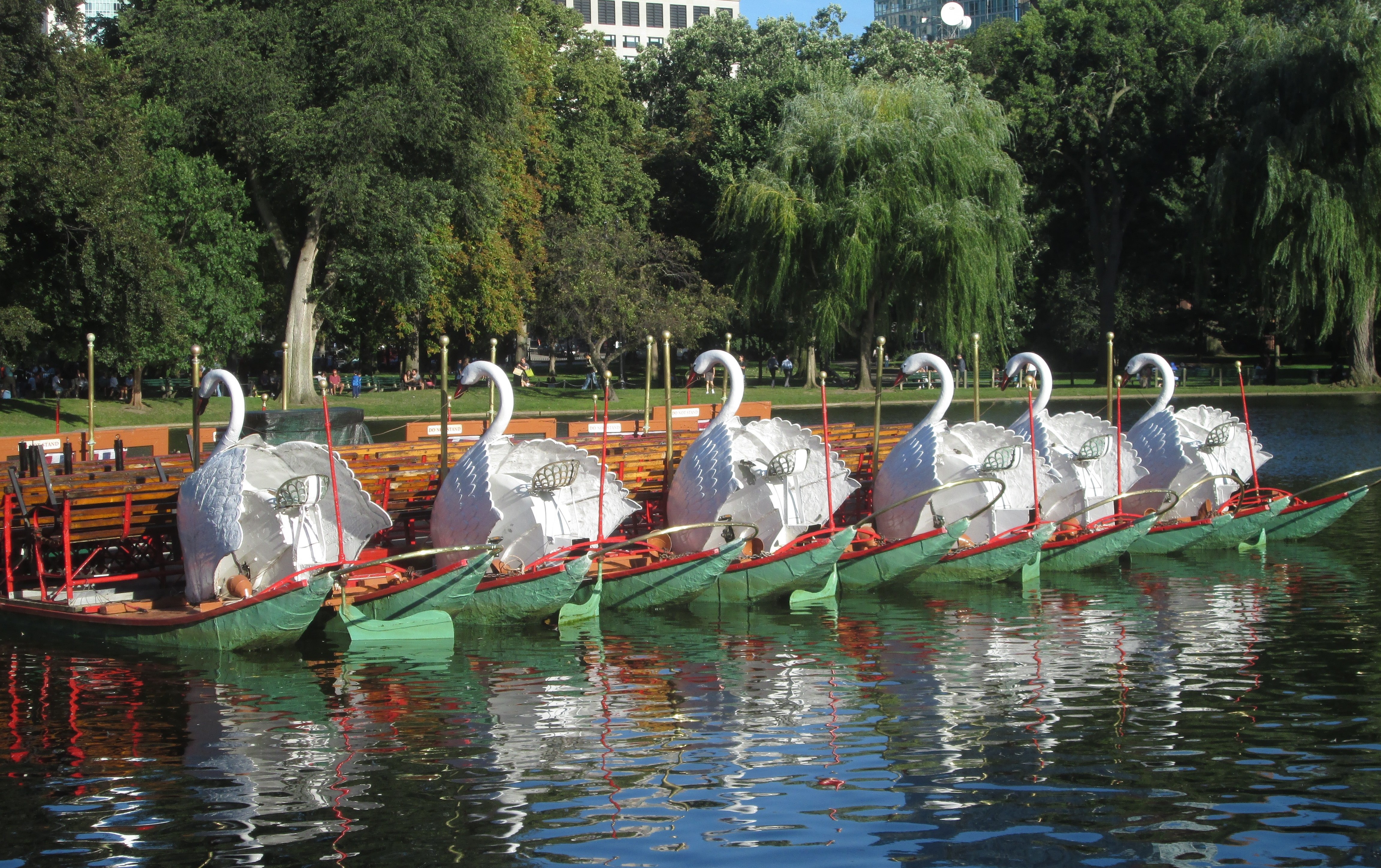 Swan Boats gliding on the lagoon in the Public Garden in Boston