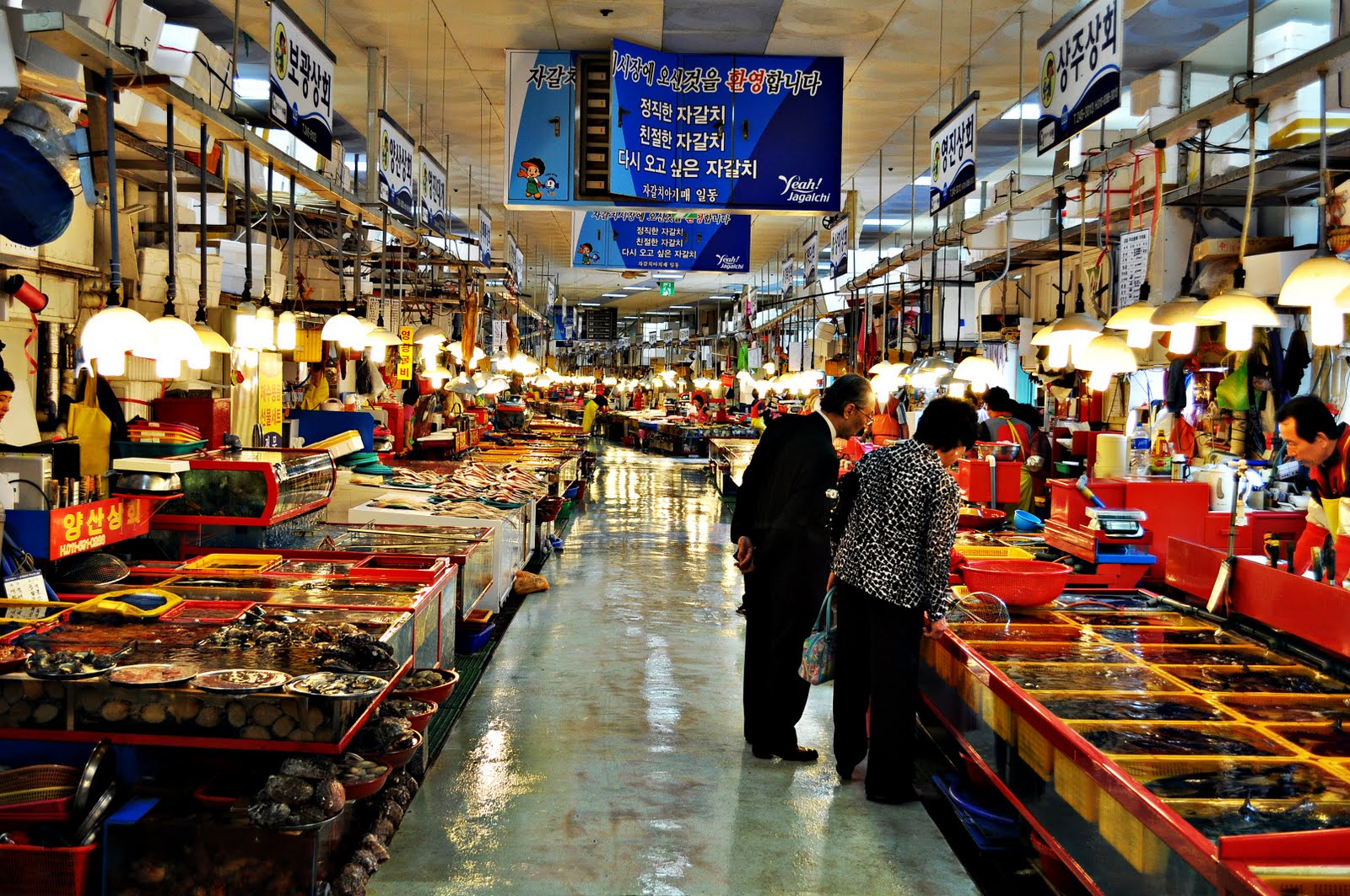 Stalls and tanks inside Jagalchi Fish Market in Busan